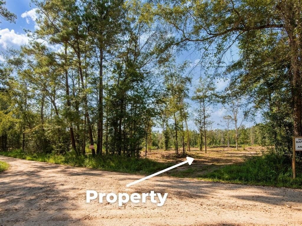 15.83 acres in Polk County - photo 12