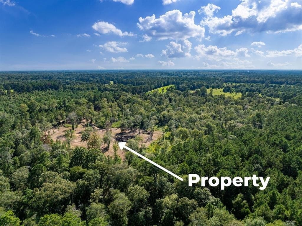 15.83 acres in Polk County - photo 16