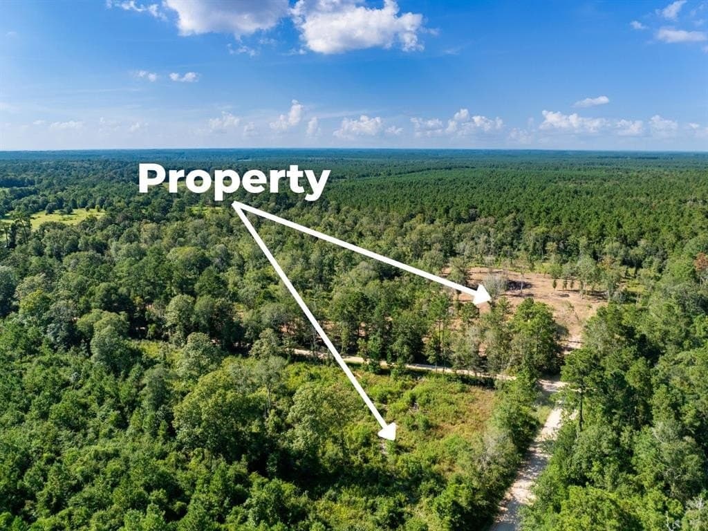 15.83 acres in Polk County - photo 17
