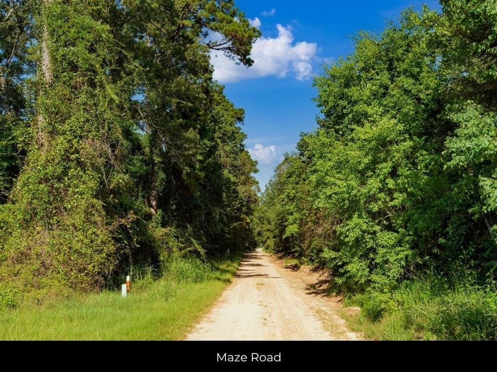 15.83 acres in Polk County - photo 15