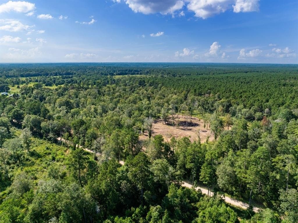 15.83 acres in Polk County - photo 4