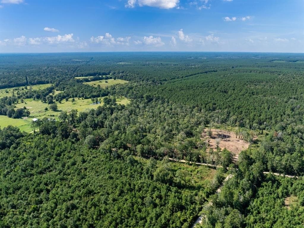 15.83 acres in Polk County - photo 2