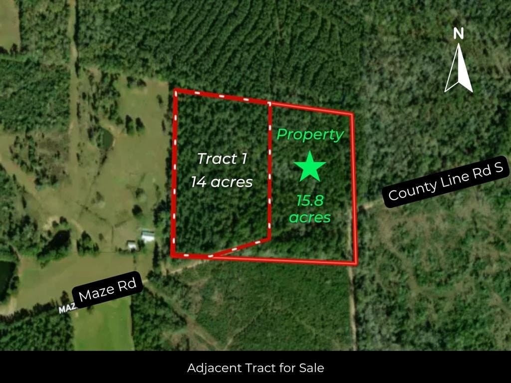 15.83 acres in Polk County - photo 9