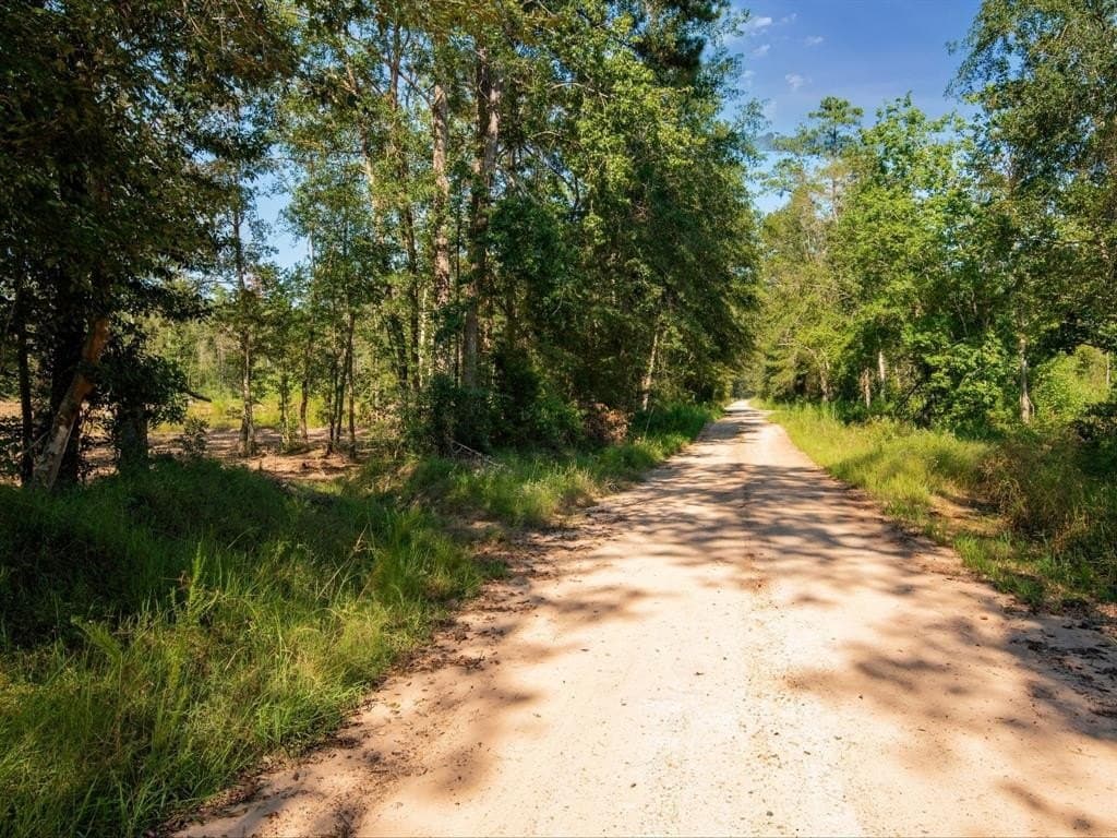 15.83 acres in Polk County - photo 14