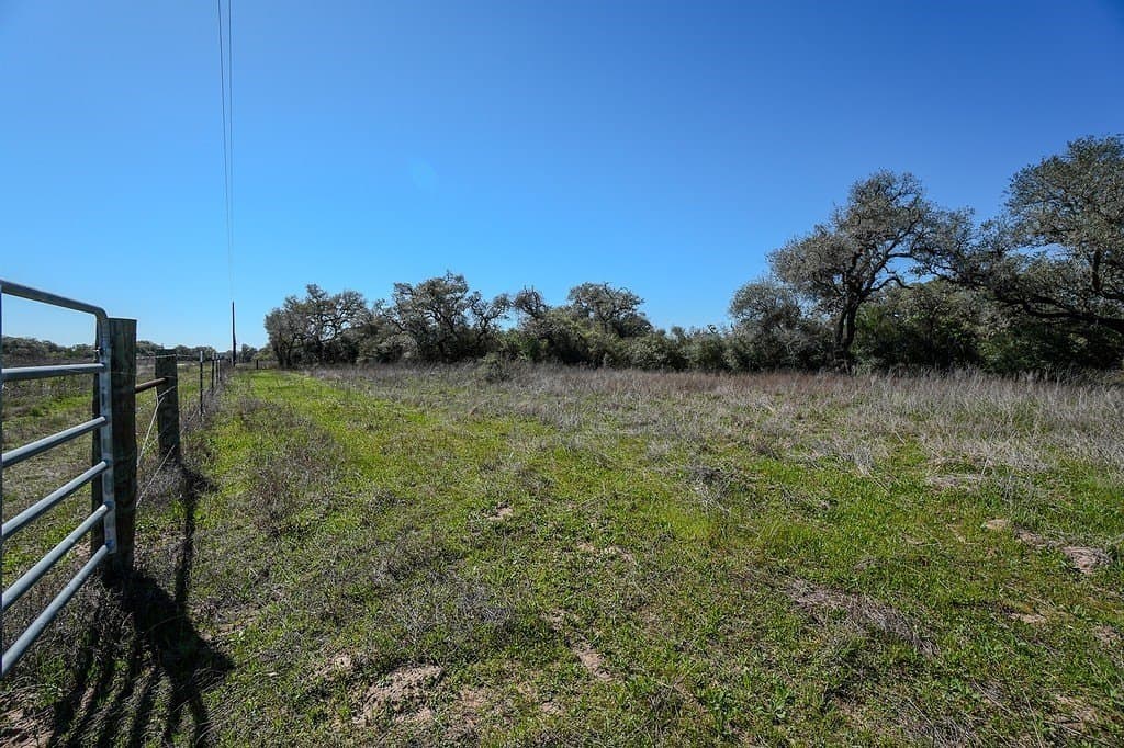 10 acres in Colorado County - photo 12