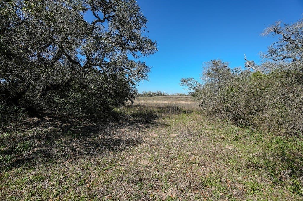 10 acres in Colorado County - photo 8