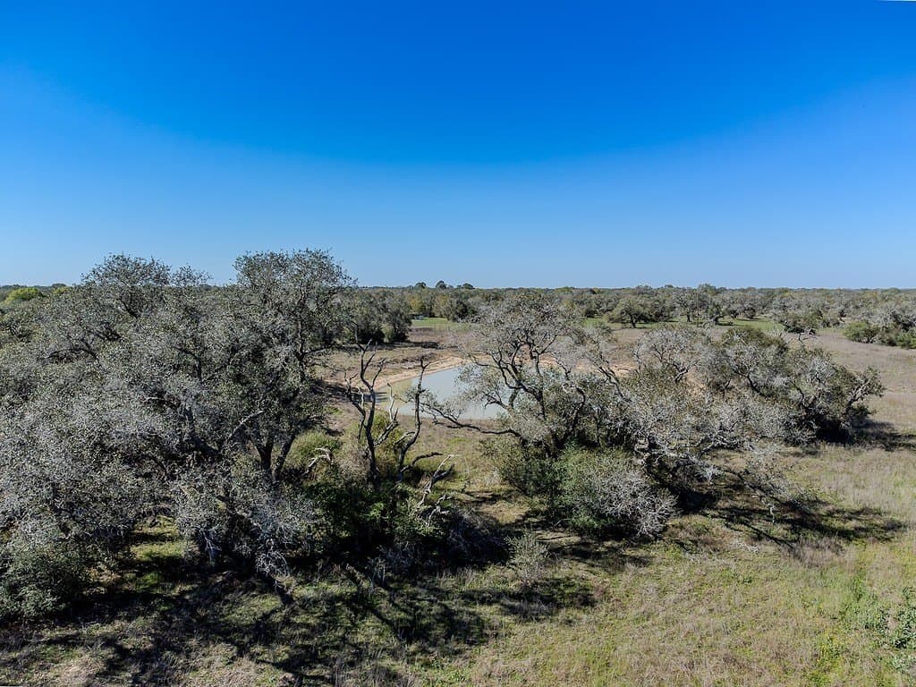 10 acres in Colorado County - photo 7