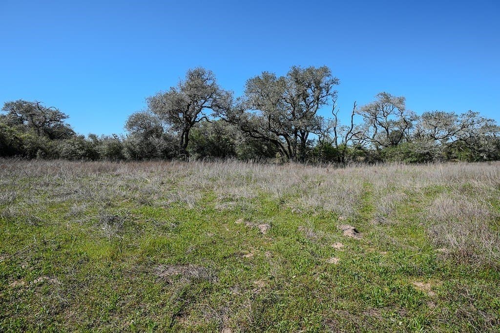 10 acres in Colorado County - photo 11