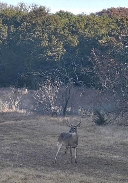 14.48 acres in Hill County - photo 25