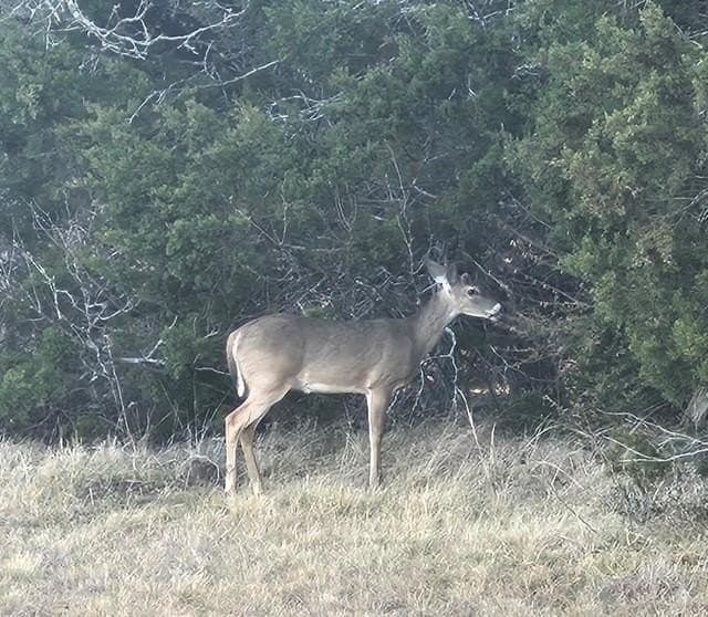 14.48 acres in Hill County - photo 26