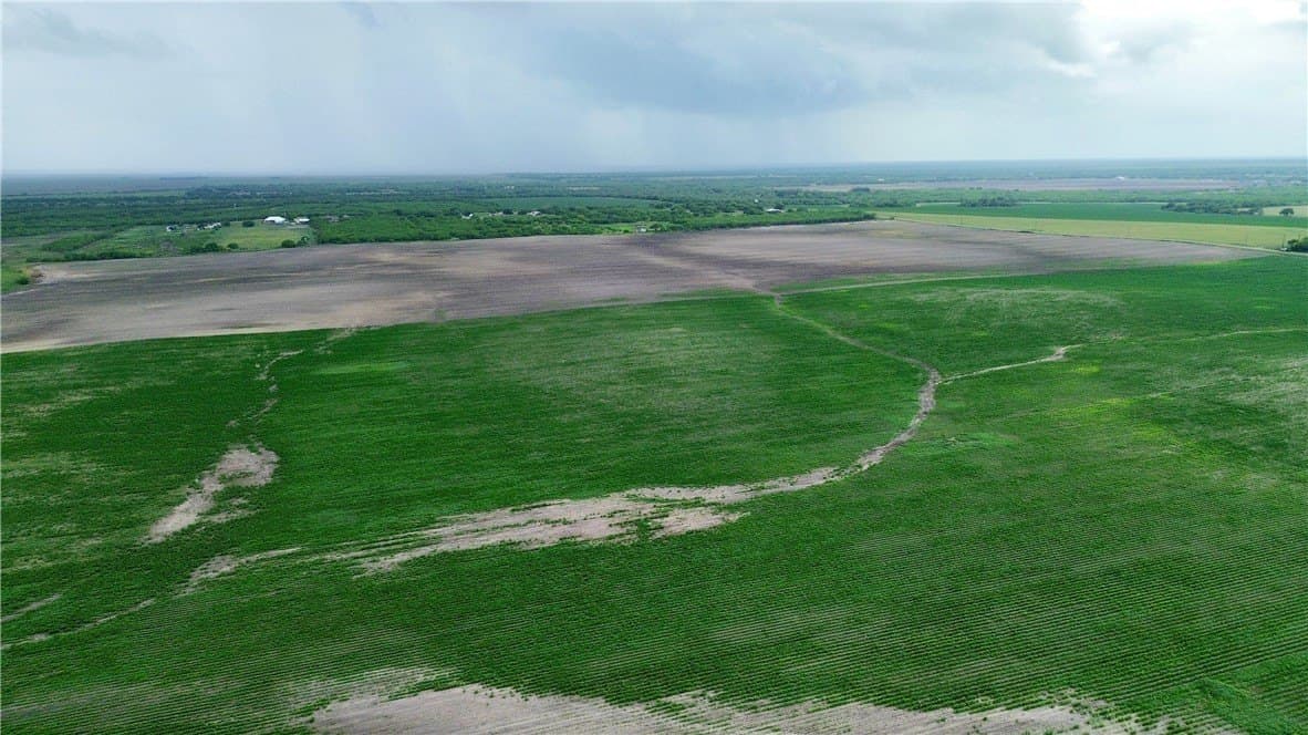 176 acres in Kleberg County - photo 11