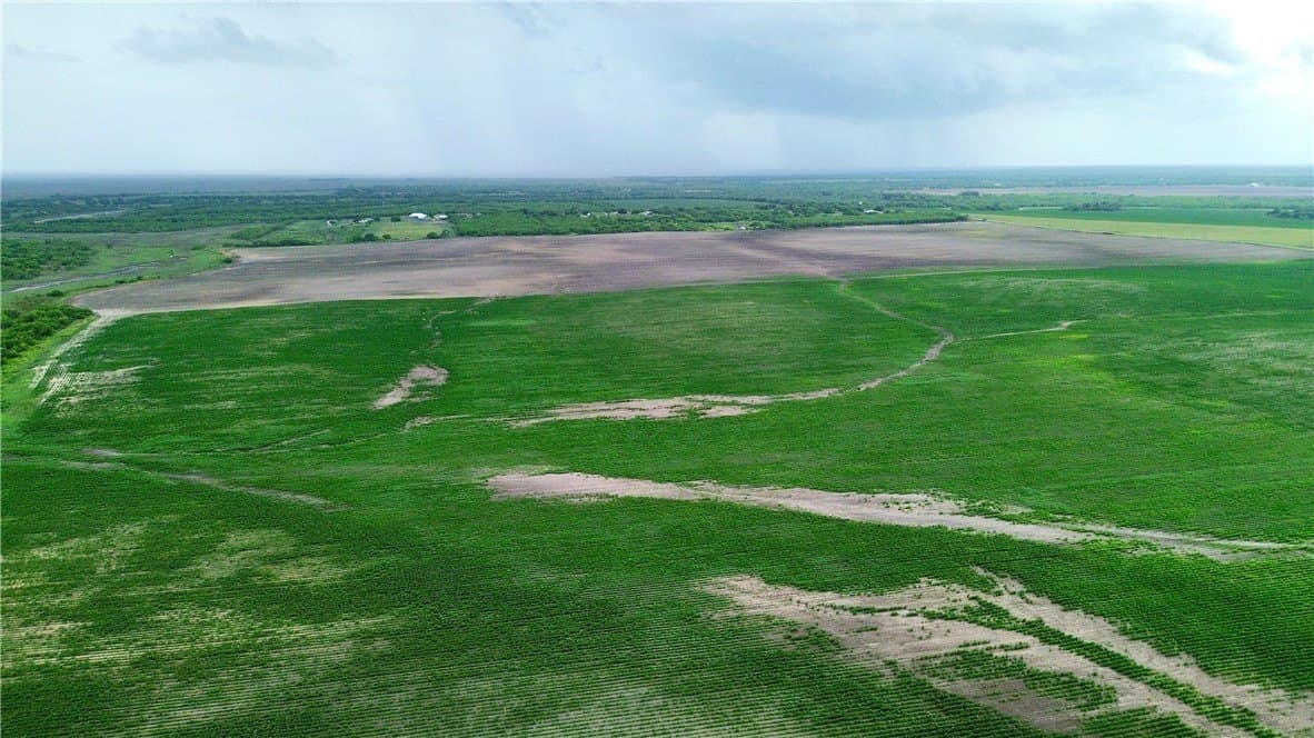 176 acres in Kleberg County - photo 12