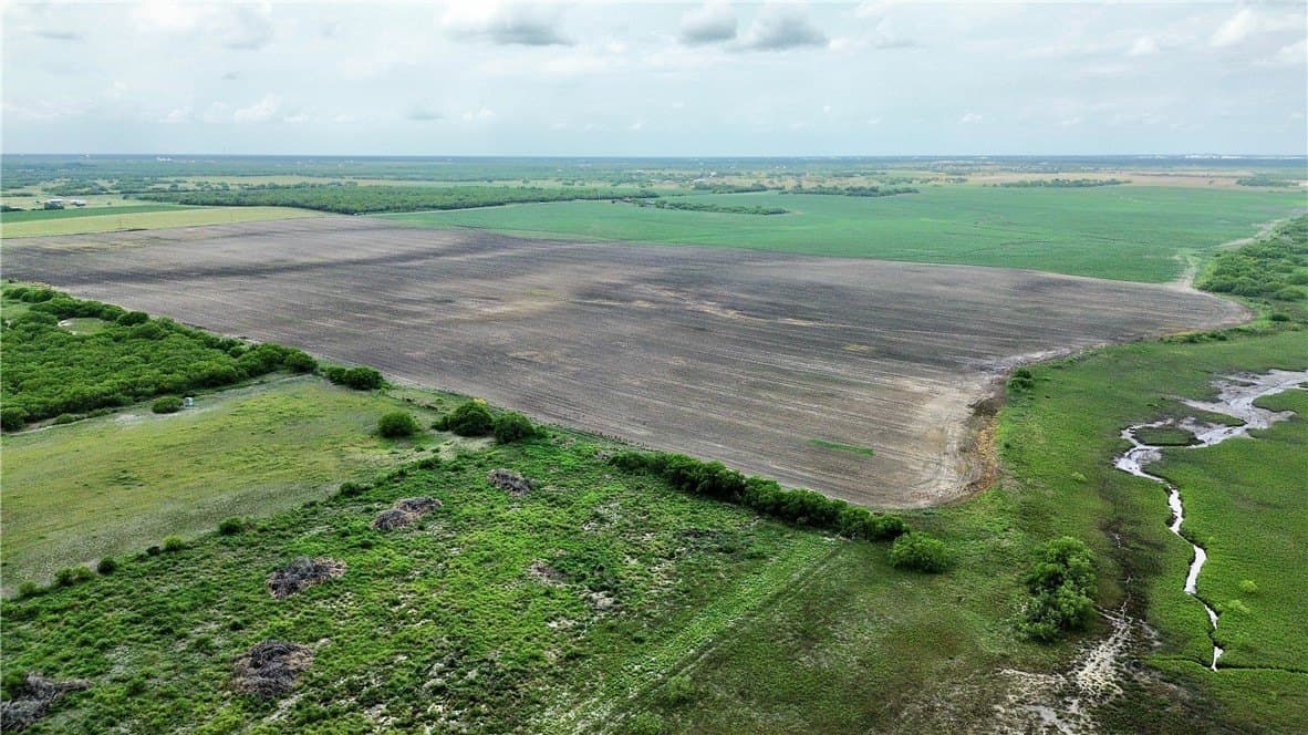 176 acres in Kleberg County - photo 9