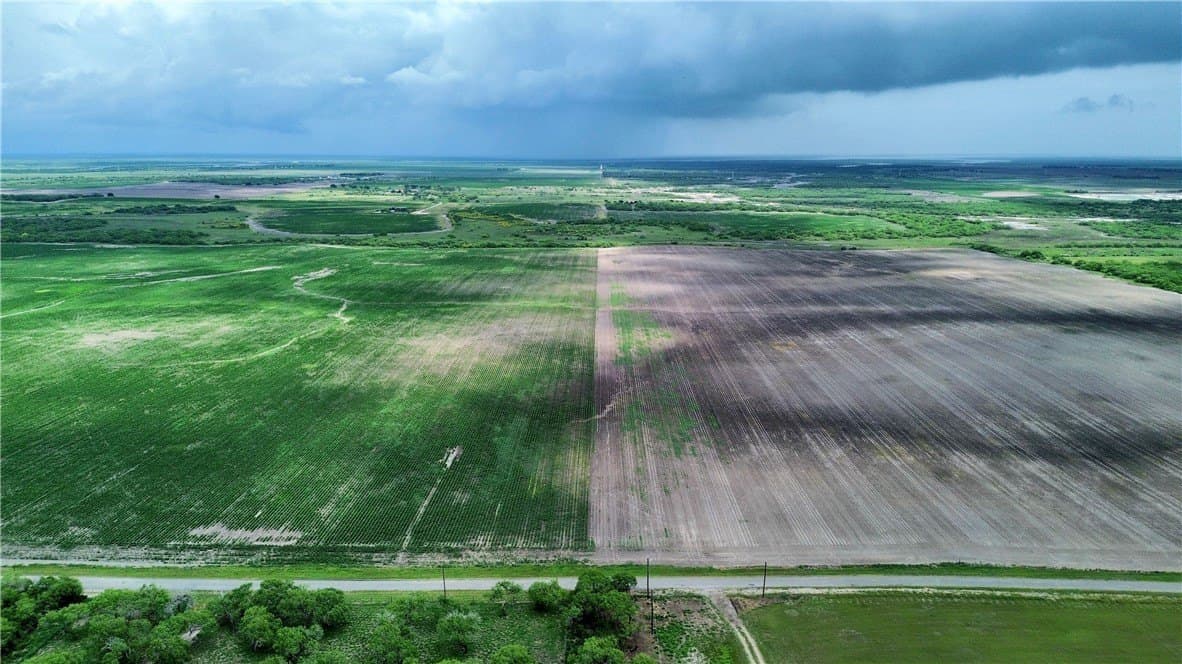 176 acres in Kleberg County - photo 3