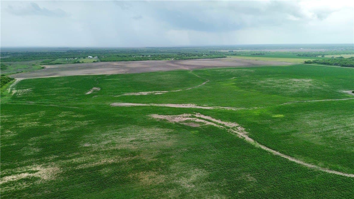 176 acres in Kleberg County - photo 13