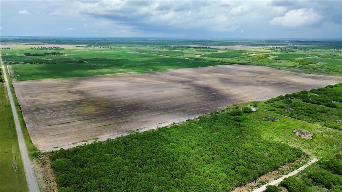 176 acres in Kleberg County - photo 4