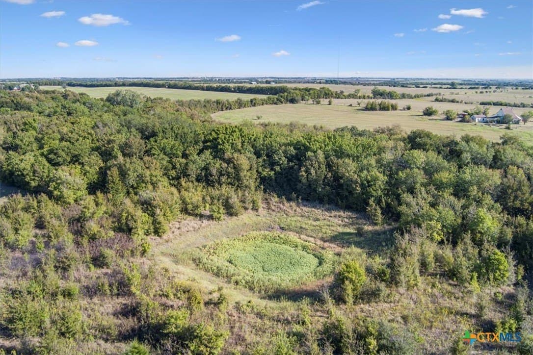 38 acres in Falls County - photo 16