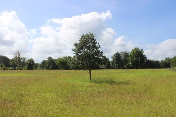 46.11 acres in Harrison County - photo 14
