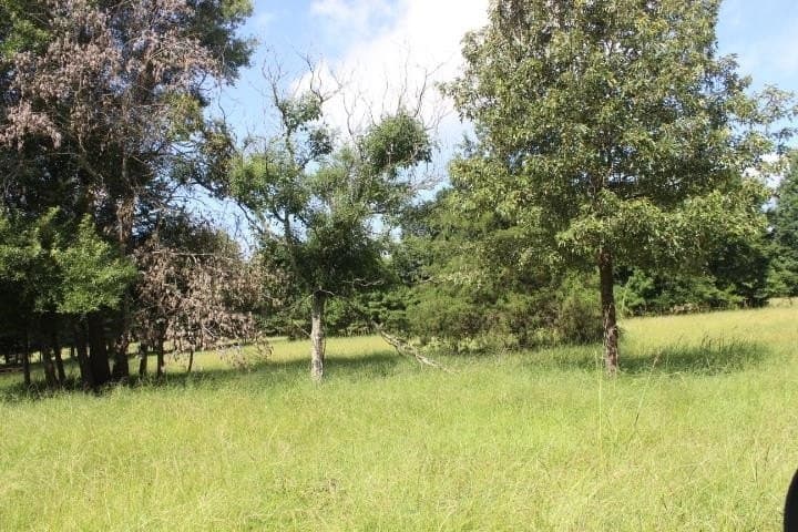 46.11 acres in Harrison County - photo 22