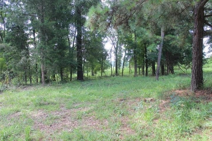 46.11 acres in Harrison County - photo 34