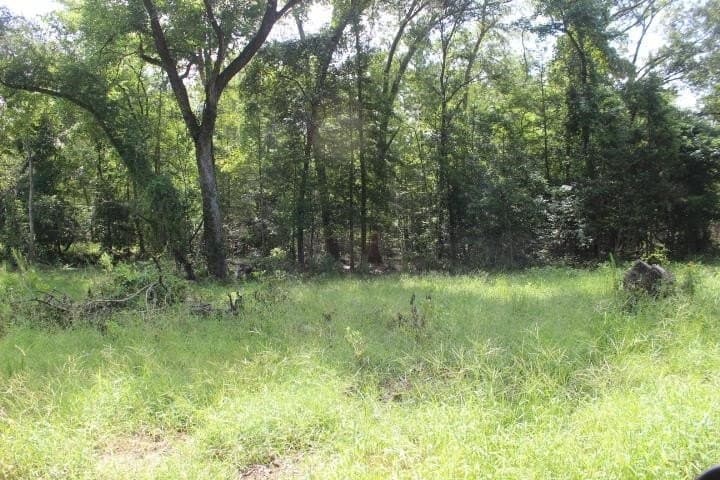 46.11 acres in Harrison County - photo 31