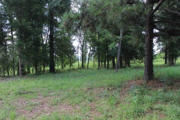 46.11 acres in Harrison County - photo 33