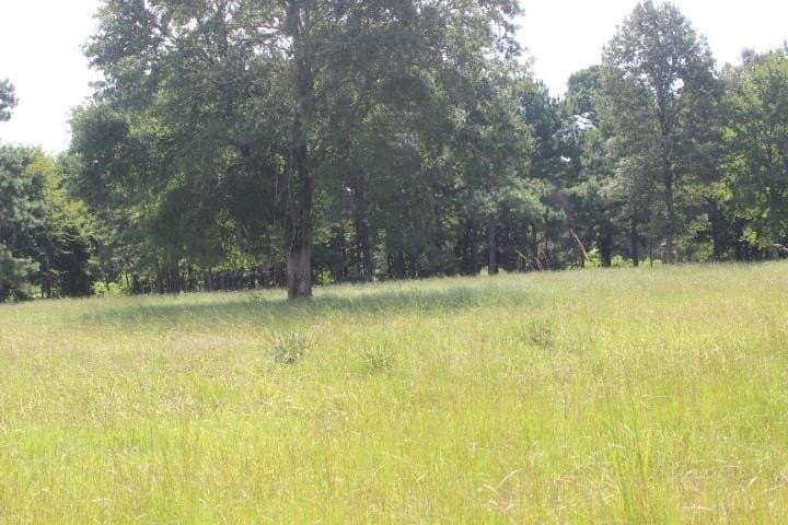 46.11 acres in Harrison County - photo 19