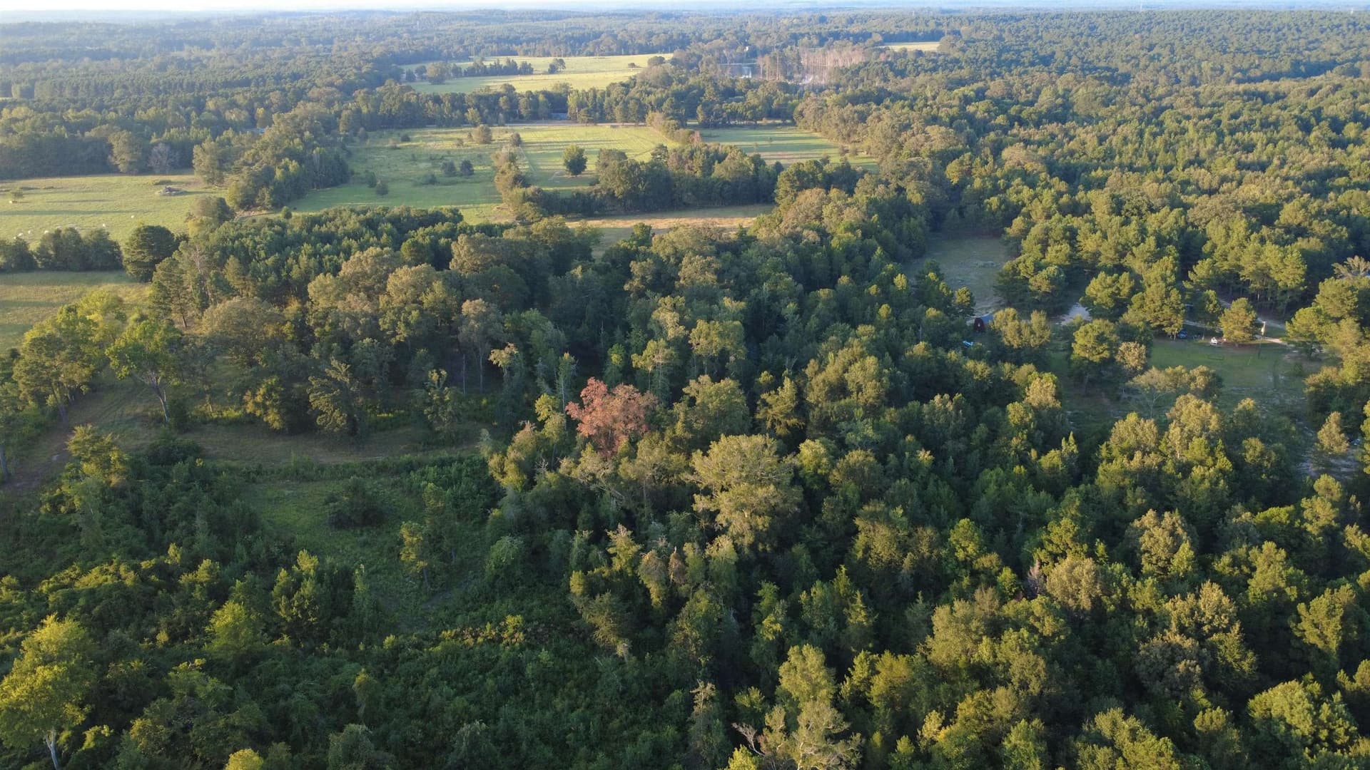 46.11 acres in Harrison County - photo 40