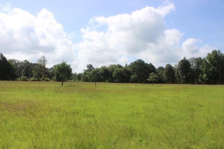 46.11 acres in Harrison County - photo 16