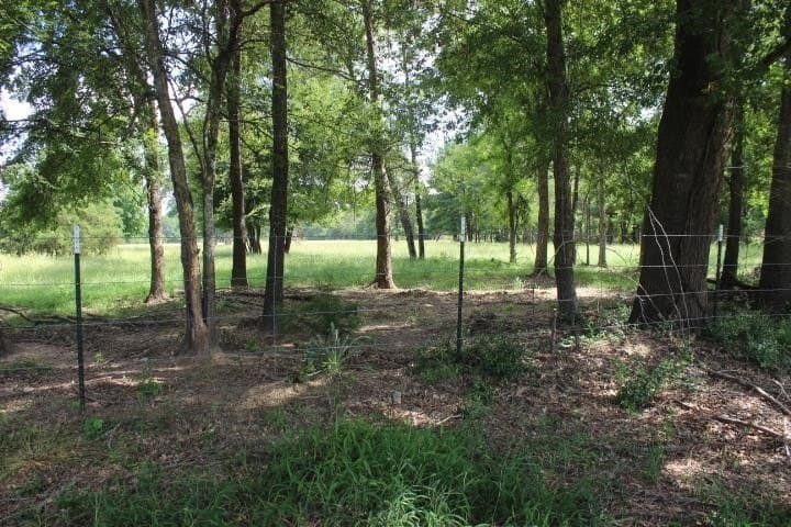 46.11 acres in Harrison County - photo 28