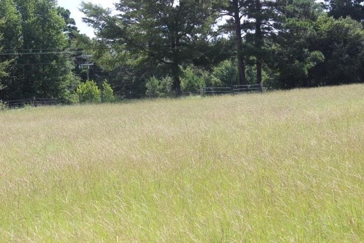 46.11 acres in Harrison County - photo 13