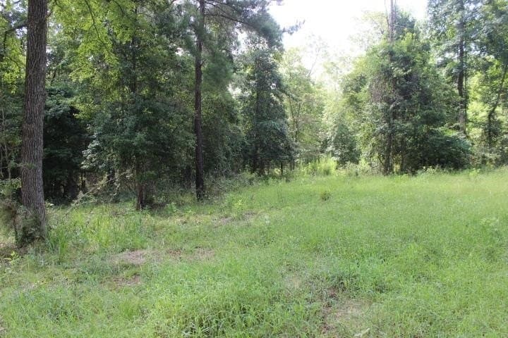 46.11 acres in Harrison County - photo 32