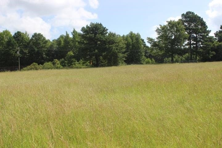 46.11 acres in Harrison County - photo 12