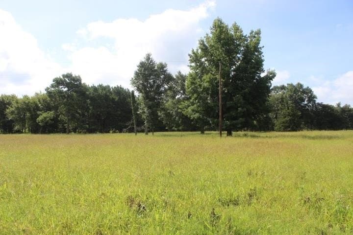 46.11 acres in Harrison County - photo 17