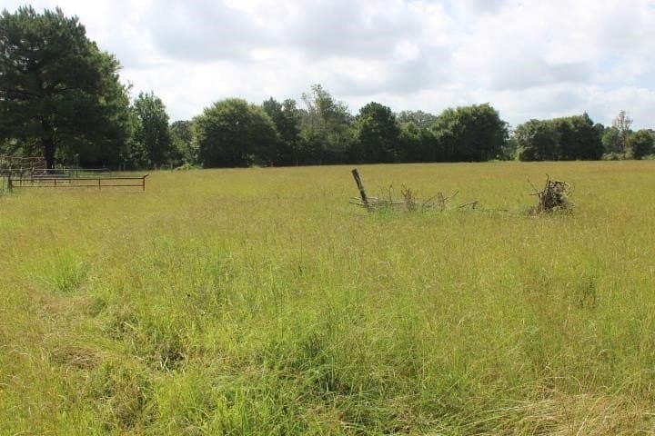 46.11 acres in Harrison County - photo 10