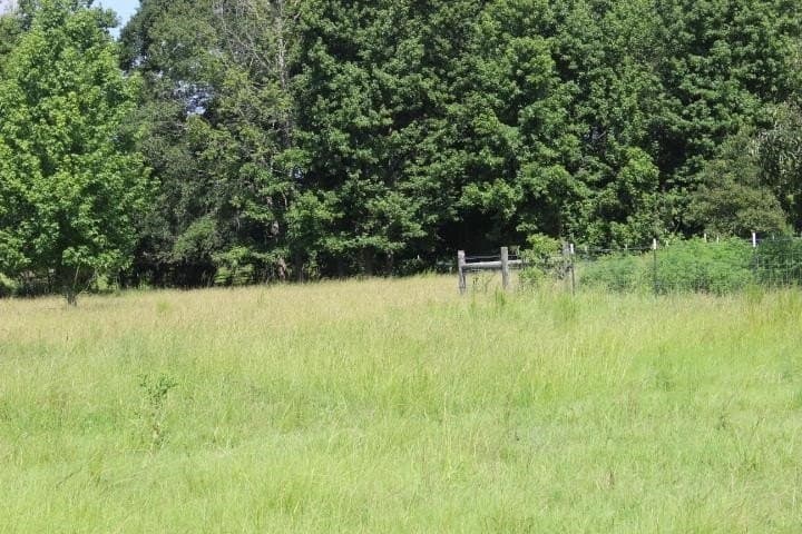 46.11 acres in Harrison County - photo 23