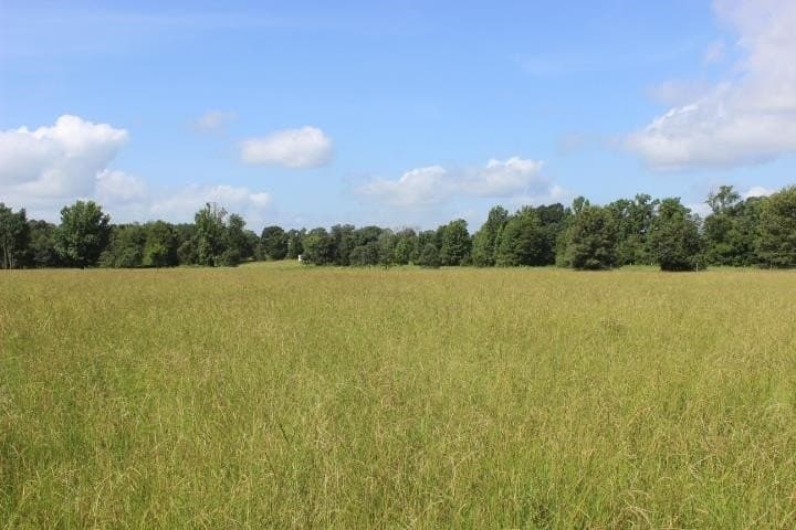 46.11 acres in Harrison County - photo 9