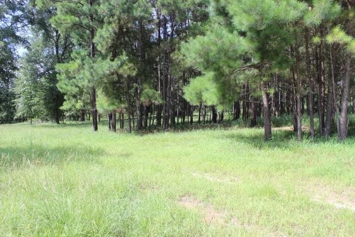 46.11 acres in Harrison County - photo 30