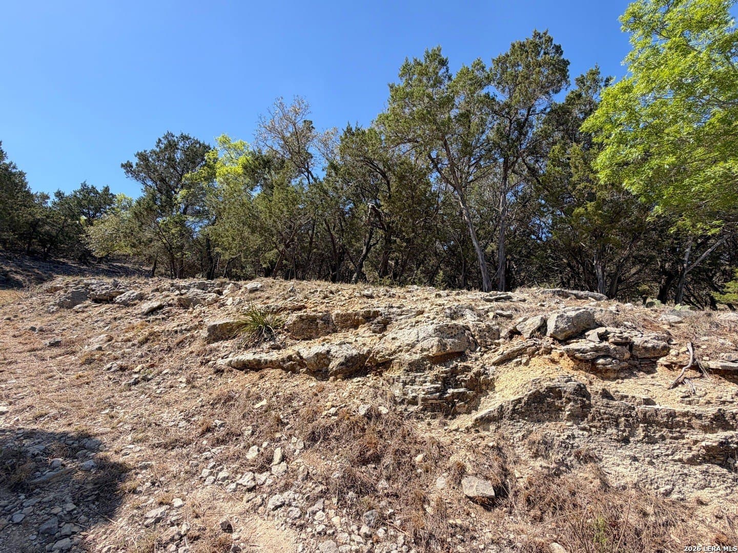 1.09 acres in Comal County - photo 8