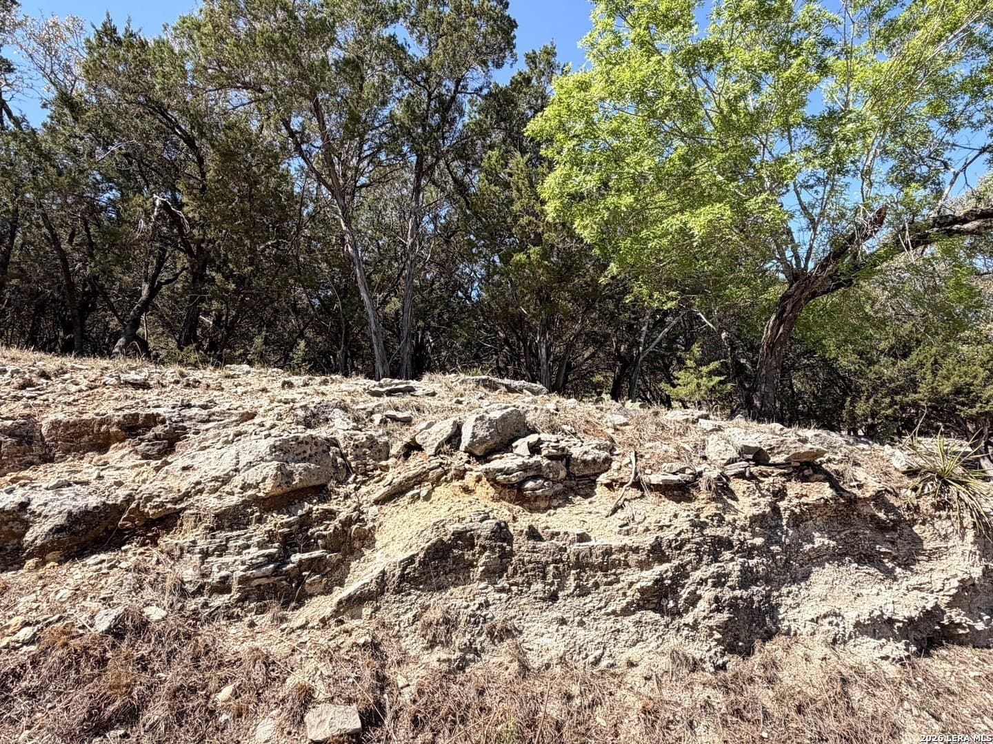 1.09 acres in Comal County - photo 7