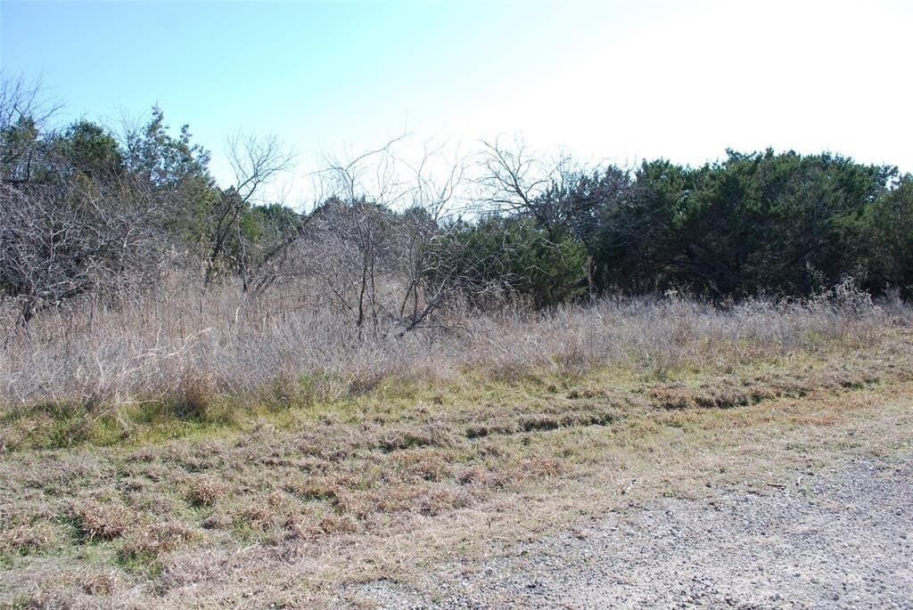 0.34 acres in Hill County - photo 4
