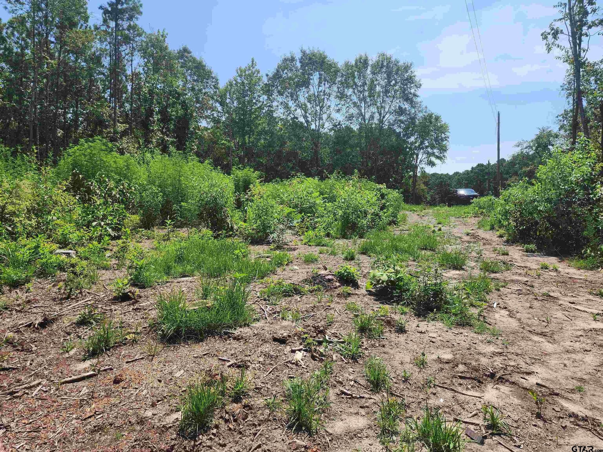 12.22 acres in Morris County - photo 9