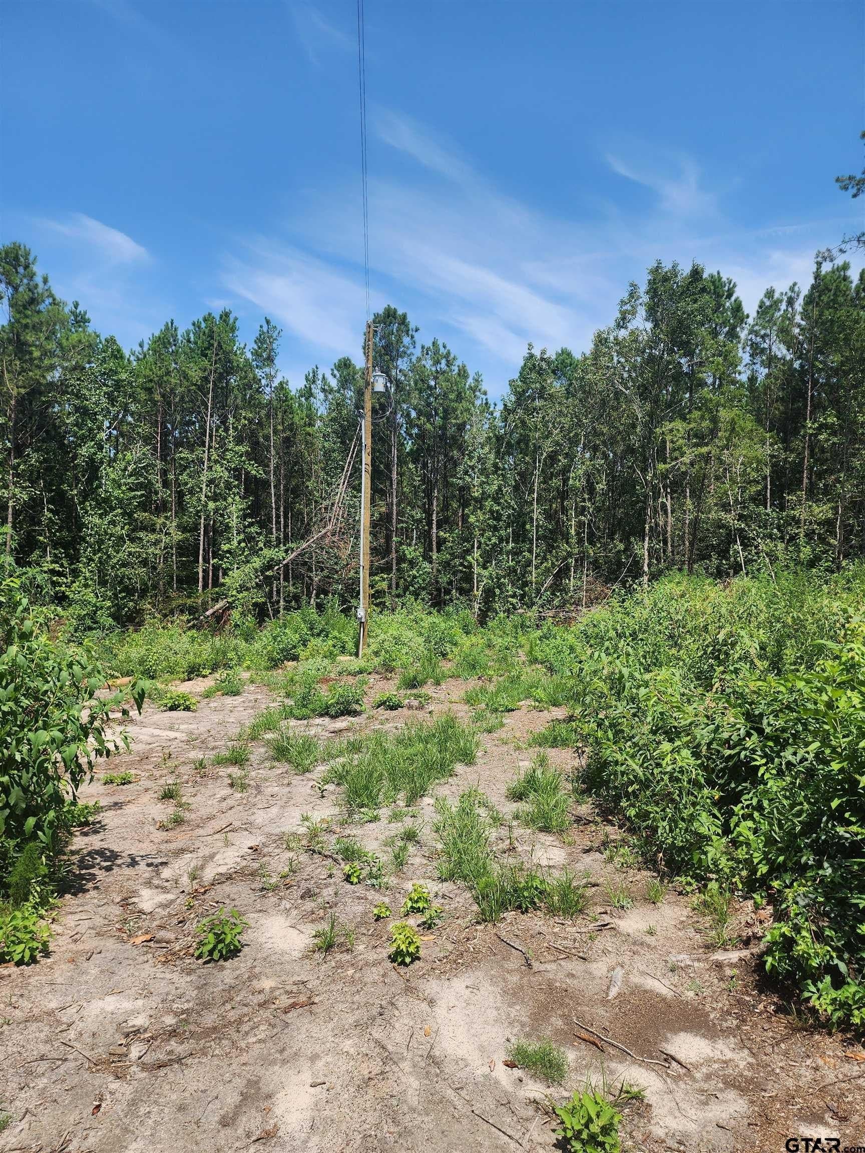 12.22 acres in Morris County - photo 7