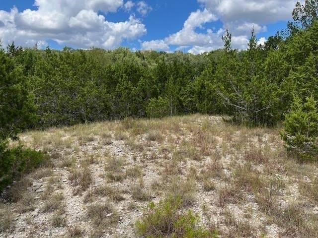 0.57 acres in Comal County - photo 7
