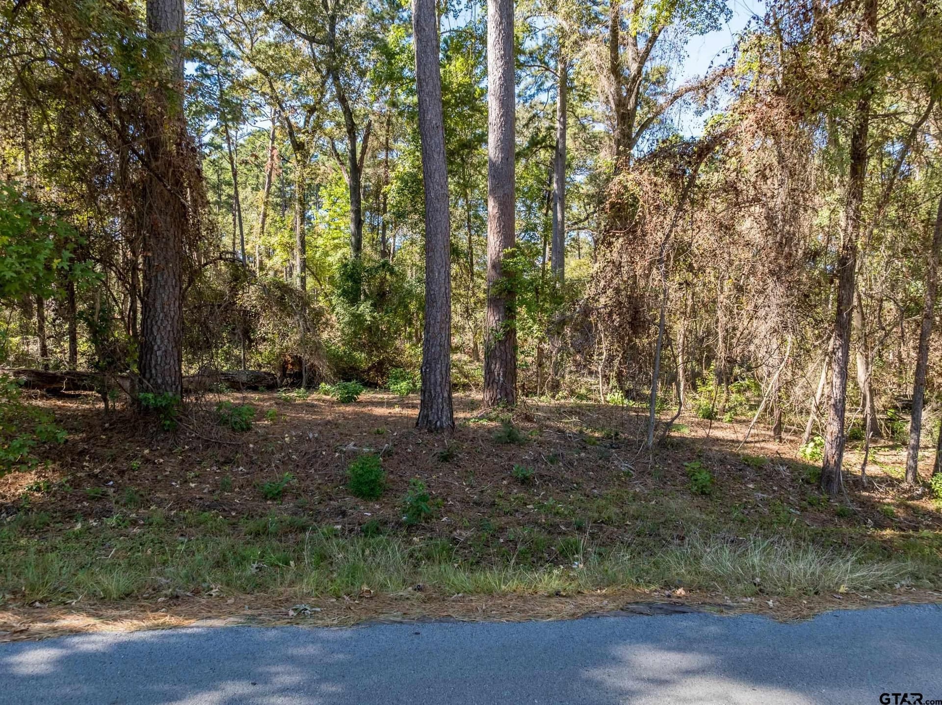 1.31 acres in Smith County - photo 9