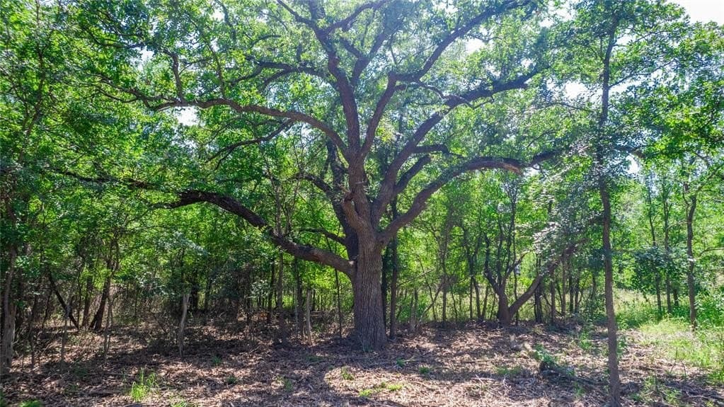 3.04 acres in Brown County - photo 13