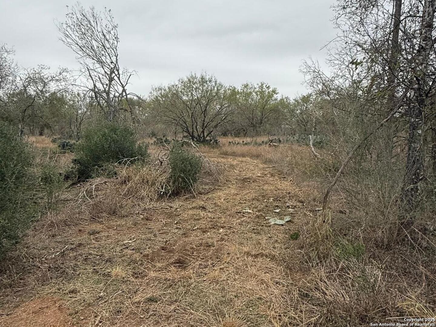 7.81 acres in Bexar County - photo 18