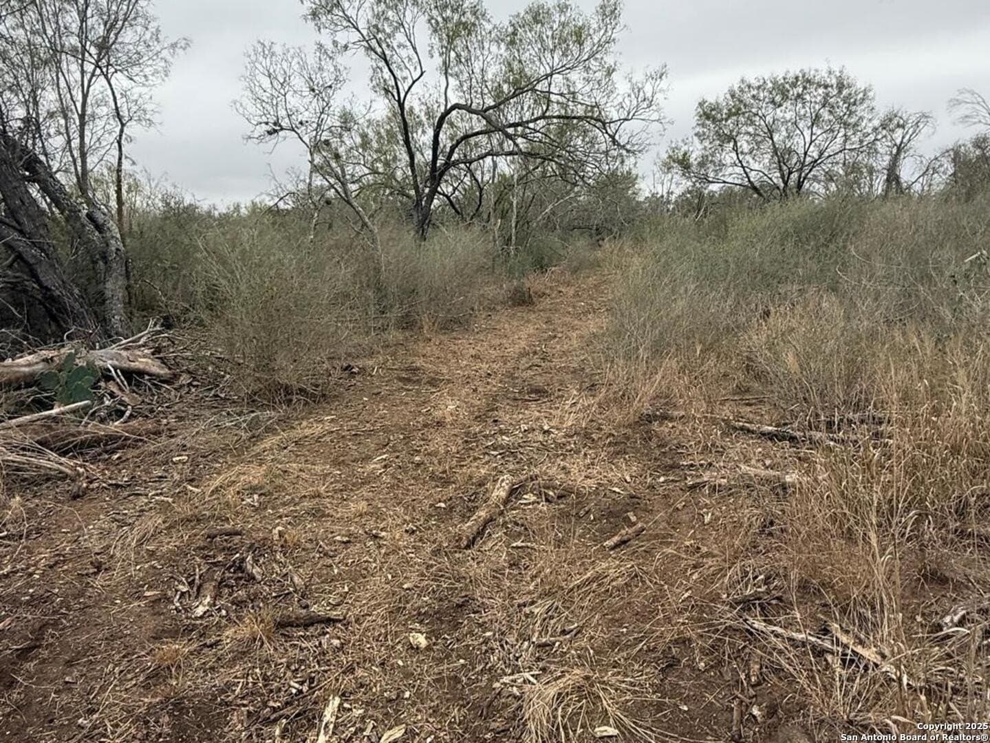 7.81 acres in Bexar County - photo 17