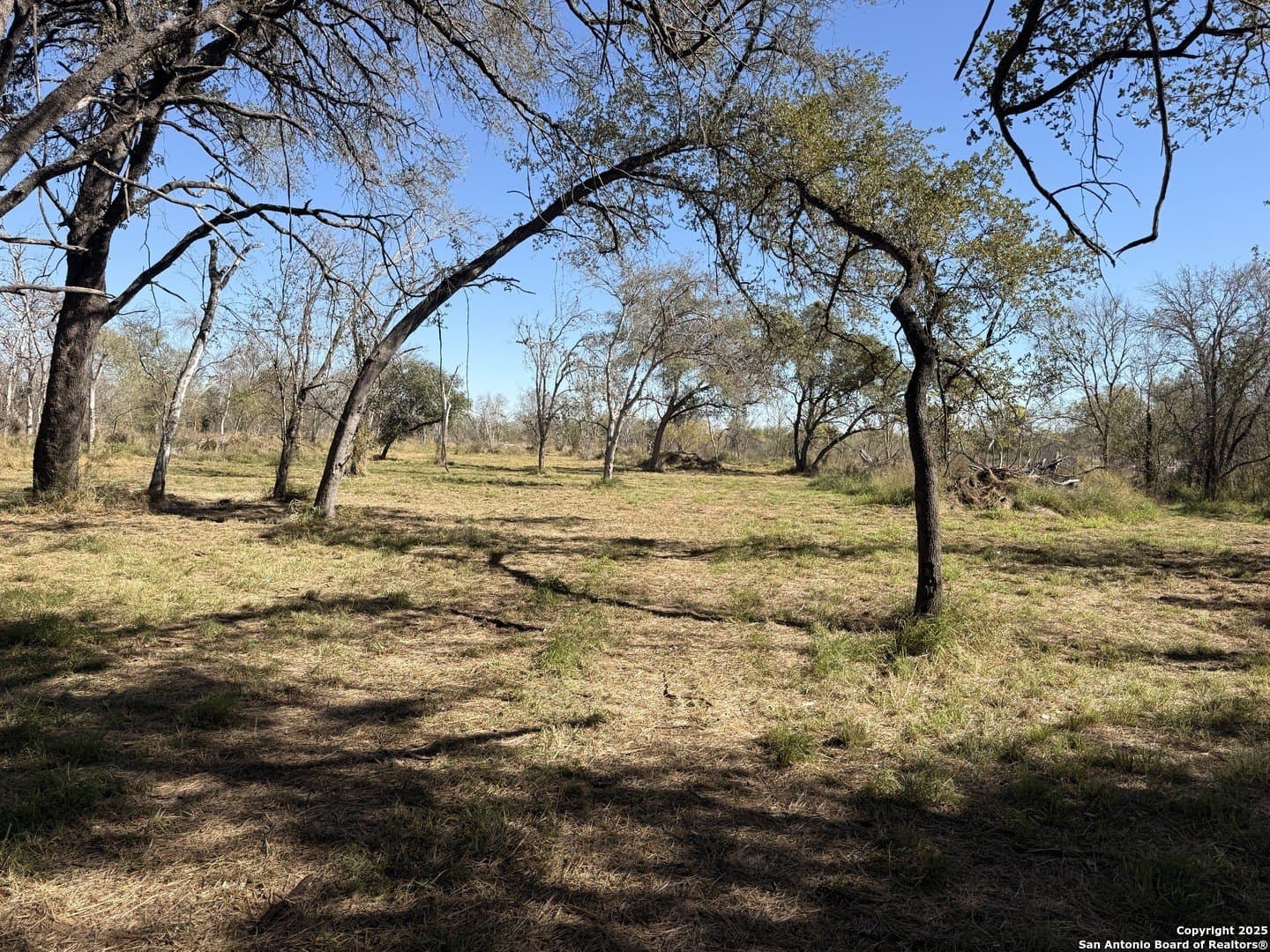 7.81 acres in Bexar County - photo 2