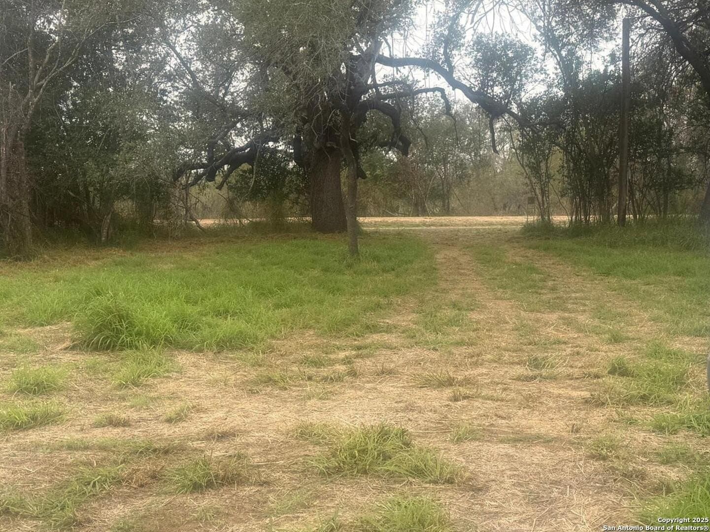 7.81 acres in Bexar County - photo 9